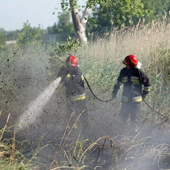 O krok od tragedii na marinie technicznej. Ktoś podpalił trzciny O krok od tragedii na marinie technicznej. Ktoś podpalił trzciny
