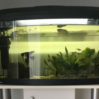 Sprzedam akwarium 120 l Sprzedam akwarium 120 l