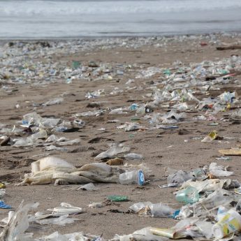 Zakaz sprzedaży plastikowych przedmiotów jednorazowego użytku Zakaz sprzedaży plastikowych przedmiotów jednorazowego użytku