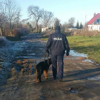 Piesze patrole pojawiły się w Kamieniu Pomorskim Piesze patrole pojawiły się w Kamieniu Pomorskim