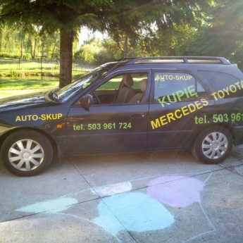 Mercedes, Toyota skup !