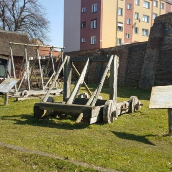 Śmieszą i straszą. Czy znikną do sezonu? Śmieszą i straszą. Czy znikną do sezonu?