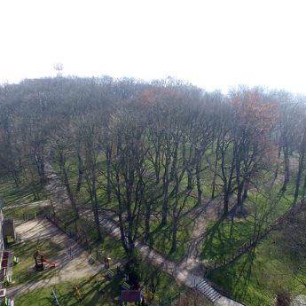Park dla Kamienia Pomorskiego zatwierdzony! Świetlice dla Rekowa, Margowa i Sulikowa coraz bliżej Park dla Kamienia Pomorskiego zatwierdzony! Świetlice dla Rekowa, Margowa i Sulikowa coraz bliżej