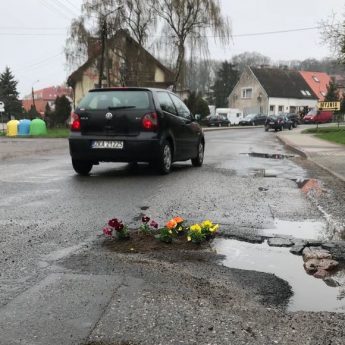 To nie żart! Dziury w jezdni zapełniły się kwiatami! To nie żart! Dziury w jezdni zapełniły się kwiatami!