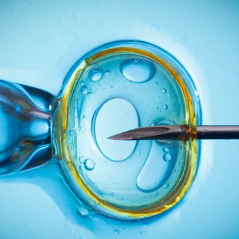 Marszałek proponuje gminom dofinansowanie in vitro Marszałek proponuje gminom dofinansowanie in vitro