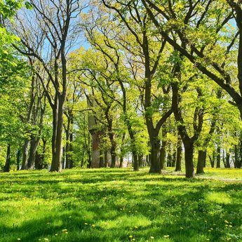 PGK chce zmodernizować park im. Papieża Jana Pawła II