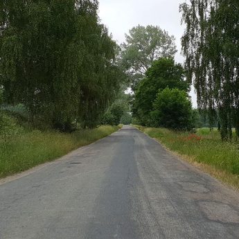 Pobocza dróg na wioskach zapomniane? "Wysoka trawa zasłania wszystko" Pobocza dróg na wioskach zapomniane? "Wysoka trawa zasłania wszystko"