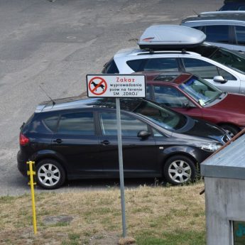 Wprowadzanie zakazu wyprowadzania psów? "To naruszenie kompetencji przyznanej w przepisach" Wprowadzanie zakazu wyprowadzania psów? "To naruszenie kompetencji przyznanej w przepisach"