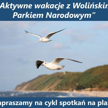 Aktywne wakacje z Wolińskim Parkiem Narodowym