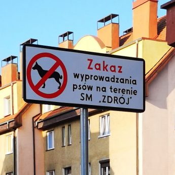Czytelniczka: "Mam swojego psa wziąć pod pachę i iść z nim na sąsiednie osiedle?" Czytelniczka: "Mam swojego psa wziąć pod pachę i iść z nim na sąsiednie osiedle?"