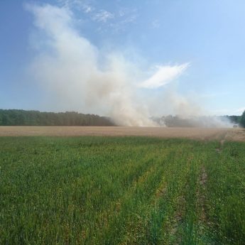 Spłonęły trzy hektary zboża i nieużytków. Strażacy ratowali las