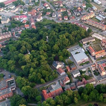 Nie tylko wycinka, ale także nasadzenia. "Decyzja zapadła po dokonaniu szczegółowych oględzin każdego z drzew"