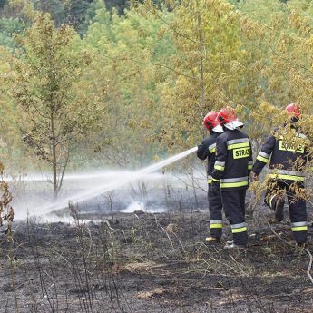 Plaga pożarów nieużytków w regionie Plaga pożarów nieużytków w regionie