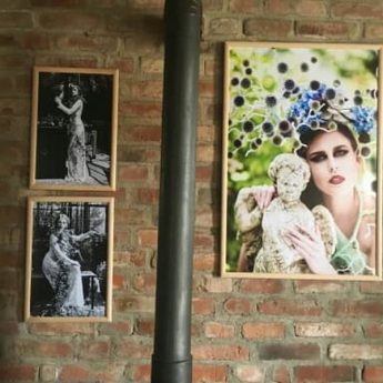Wystawa fotografii w Galerii Mundo Bizarro przy Ecorosarium