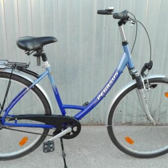 Rower Damka Pegasus 28"