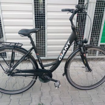 Rower Damka Giant 28"