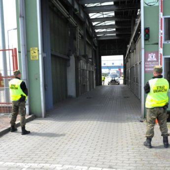 Nie miał prawa jazdy, więc wydrukował je na drukarce Nie miał prawa jazdy, więc wydrukował je na drukarce