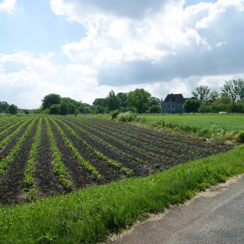 Golczewo-sprzedam działkę 3578 m2 ul.9-Maja Golczewo-sprzedam działkę 3578 m2 ul.9-Maja