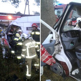 Bus uderzył w drzewo. Jedna osoba poszkodowana