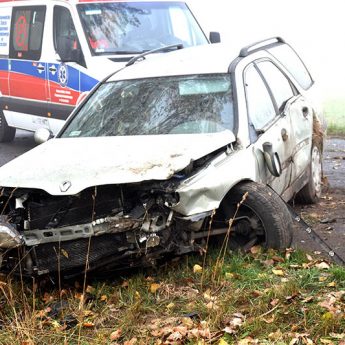 Swoją podróż zakończyła w przydrożnym rowie Swoją podróż zakończyła w przydrożnym rowie