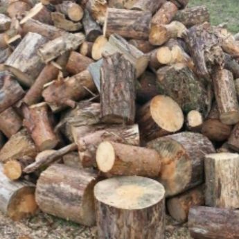 Drewno opalowe kominkowe!!!!Transport!!!!