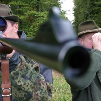 W tych dniach ograniczcie spacery po lesie. Poznaliśmy terminy polowań dwóch kół łowieckich