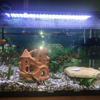 Sprzedam akwarium