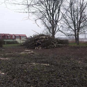 Gmina Kamień Pomorski rozpoczęła adaptacje terenów Dzikiej Plaży Gmina Kamień Pomorski rozpoczęła adaptacje terenów Dzikiej Plaży