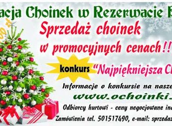 Sprzedaż żywych choinek z plantacji! Sprzedaż żywych choinek z plantacji!