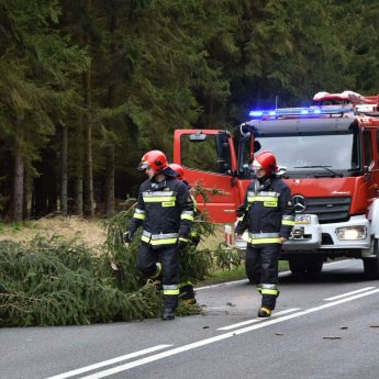 Pracowity czas dla strażaków. Nieustannie usuwają powalone drzewa Pracowity czas dla strażaków. Nieustannie usuwają powalone drzewa