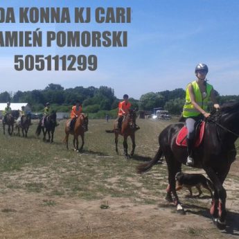 jazda konna 505 111 299