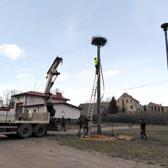 Mieszkańcy Skoszewa przygotowali nowe bocianie gniazdo