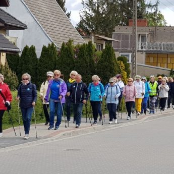 VII Ogólnopolski Marsz Nordic Walking studentów UTW VII Ogólnopolski Marsz Nordic Walking studentów UTW