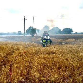 Pożar pól w Kodrąbiu. Na miejscu pięć zastępów straży