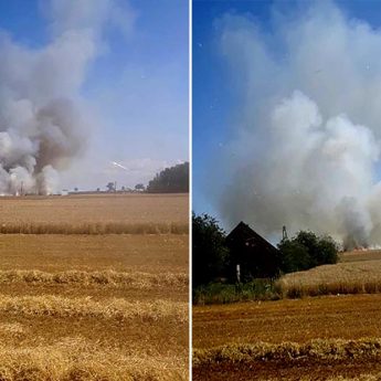 Pożar zbóż w Kłębach. Na miejscu strażacy z całej okolicy Pożar zbóż w Kłębach. Na miejscu strażacy z całej okolicy