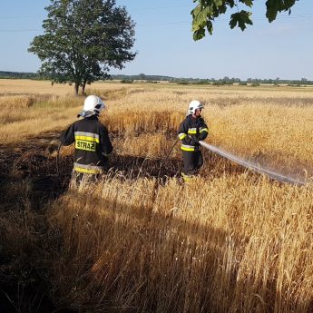 Pracowity czas dla strażaków. Kolejny pożar pól