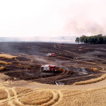 100 hektarów zbóż w ogniu! Potężny pożar pola w Rekowie [Zdjęcia, Film]