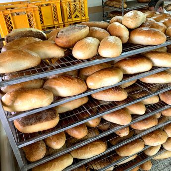 Świeże ciasto i chleb zakupisz w piekarni! Do końca wakacji sklepik Wiesława Żelka czynny w każdą niedzielę Świeże ciasto i chleb zakupisz w piekarni! Do końca wakacji sklepik Wiesława Żelka czynny w każdą niedzielę