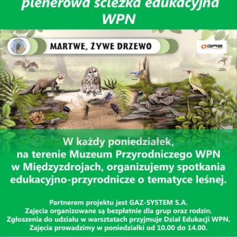 „Leśne wzgórze” plenerowa ścieżka edukacyjna Wolińskiego Parku Narodowego