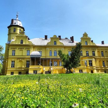 Wójt poszukuje nowego dyrektora szkoły w Stuchowie Wójt poszukuje nowego dyrektora szkoły w Stuchowie