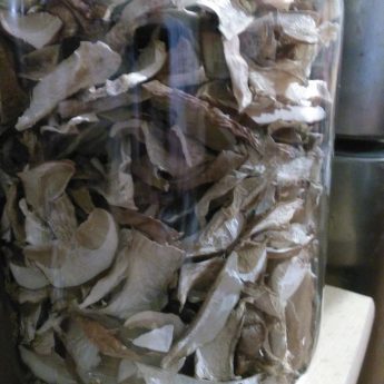 SPRZEDAM PRAWDZIWKI SŁOIK