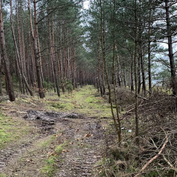 Ze Świnoujścia do Międzyzdrojów. Jest porozumienie w sprawie ścieżki rowerowej