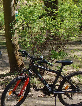 Sprzedam rower 24 cale