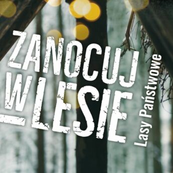 Lasy Państwowe zachęcają: "Zanocuj w lesie"