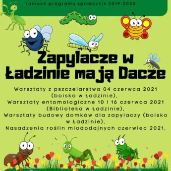 Zapylacze w Ładzinie mają Dacze