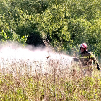 Podpalenie przyczyną pożaru na Orzeszkowej. Na miejscu dwa zastępy straży Podpalenie przyczyną pożaru na Orzeszkowej. Na miejscu dwa zastępy straży
