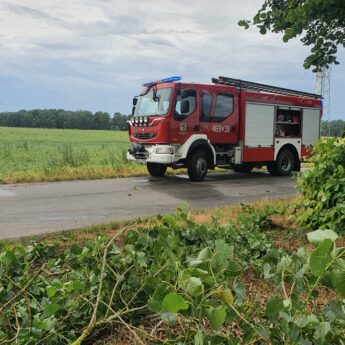 Połamane drzewo zablokowało drogę. Musieli interweniować strażacy