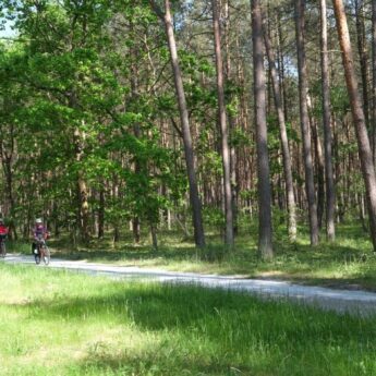 Na rowerach wybrzeżem Bałtyku. Kolejne odcinki trasy rowerowej gotowe!