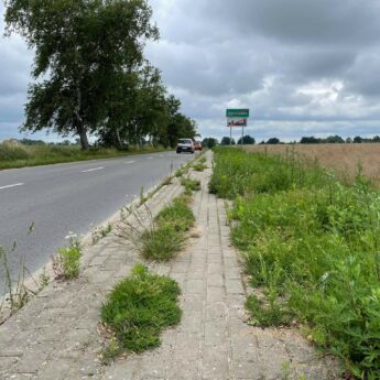 Czytelniczka o drodze Strzeżewo - Łukęcin: "Z chodnika niedlugo wyrośnie las"