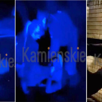 Pięściami, pałką a na koniec gazem. Czytelniczka: "Tak działa kamieńska Policja" [FILM]